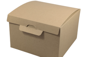 Dėžutė 20×20 cm, H20 cm, Ecolife