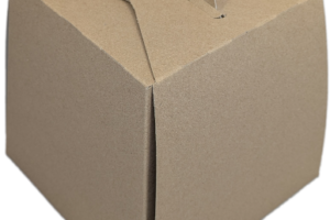 Dėžutė 20×20 cm, H20 cm, Ecolife